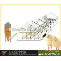 automatic chicken egg incubating equipment